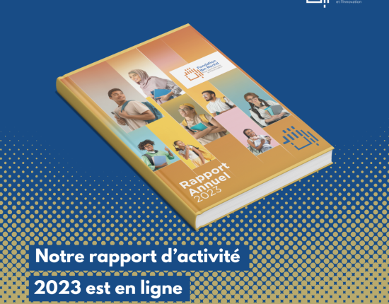 Rapport d'activité Firsi 2023